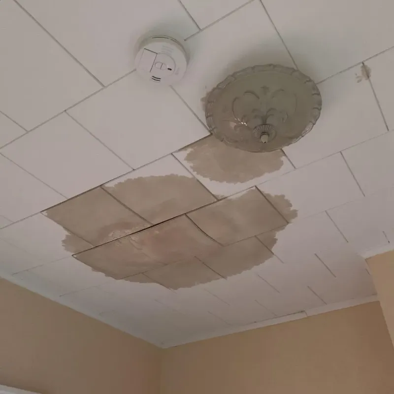 Ceiling Water Damage Repair in Roaming Shores, OH