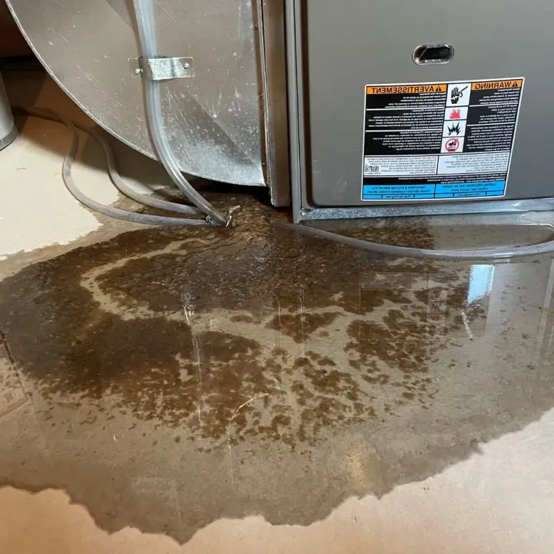 Pipe Burst and Leak Restoration in Roaming Shores, OH