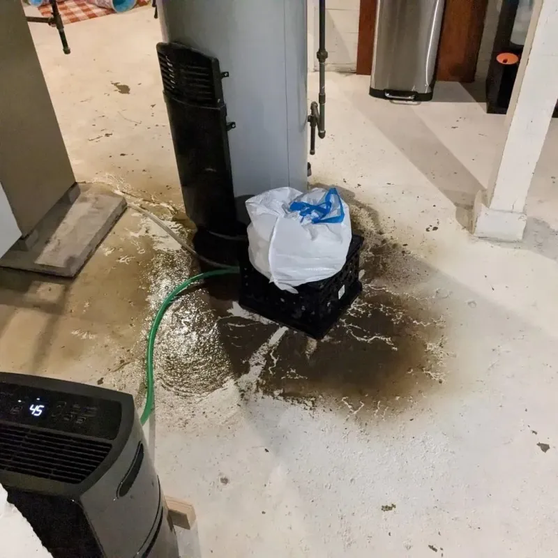 Sewage Backup Cleanup Service in Roaming Shores, OH